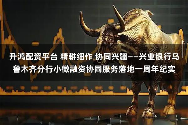 升鸿配资平台 精耕细作 协同兴疆——兴业银行乌鲁木齐分行小微融资协同服务落地一周年纪实