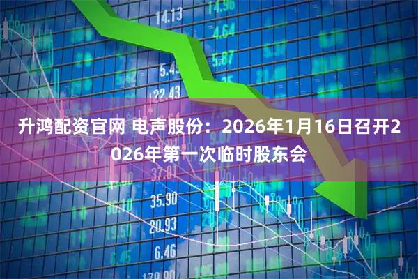 升鸿配资官网 电声股份：2026年1月16日召开2026年第一次临时股东会