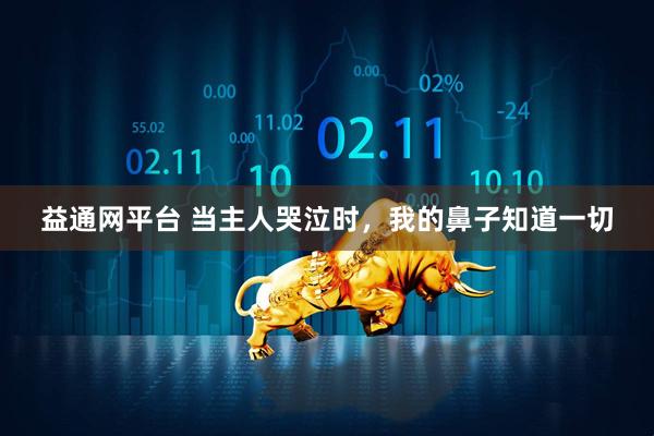 益通网平台 当主人哭泣时，我的鼻子知道一切